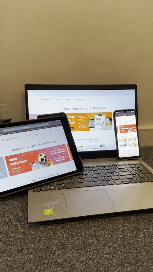 Web App Development 1 Web App Development
