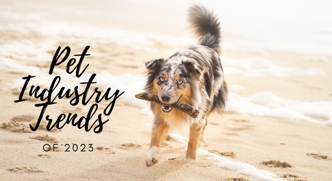 Pet Supply Industry Pet Supply Industry