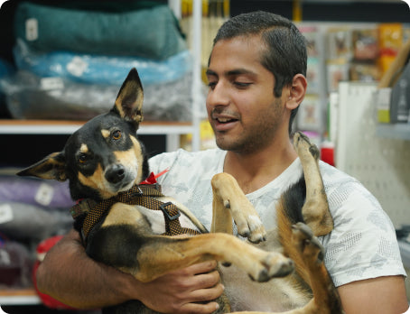 Show love to your adorable companions. Show love to your adorable companions.