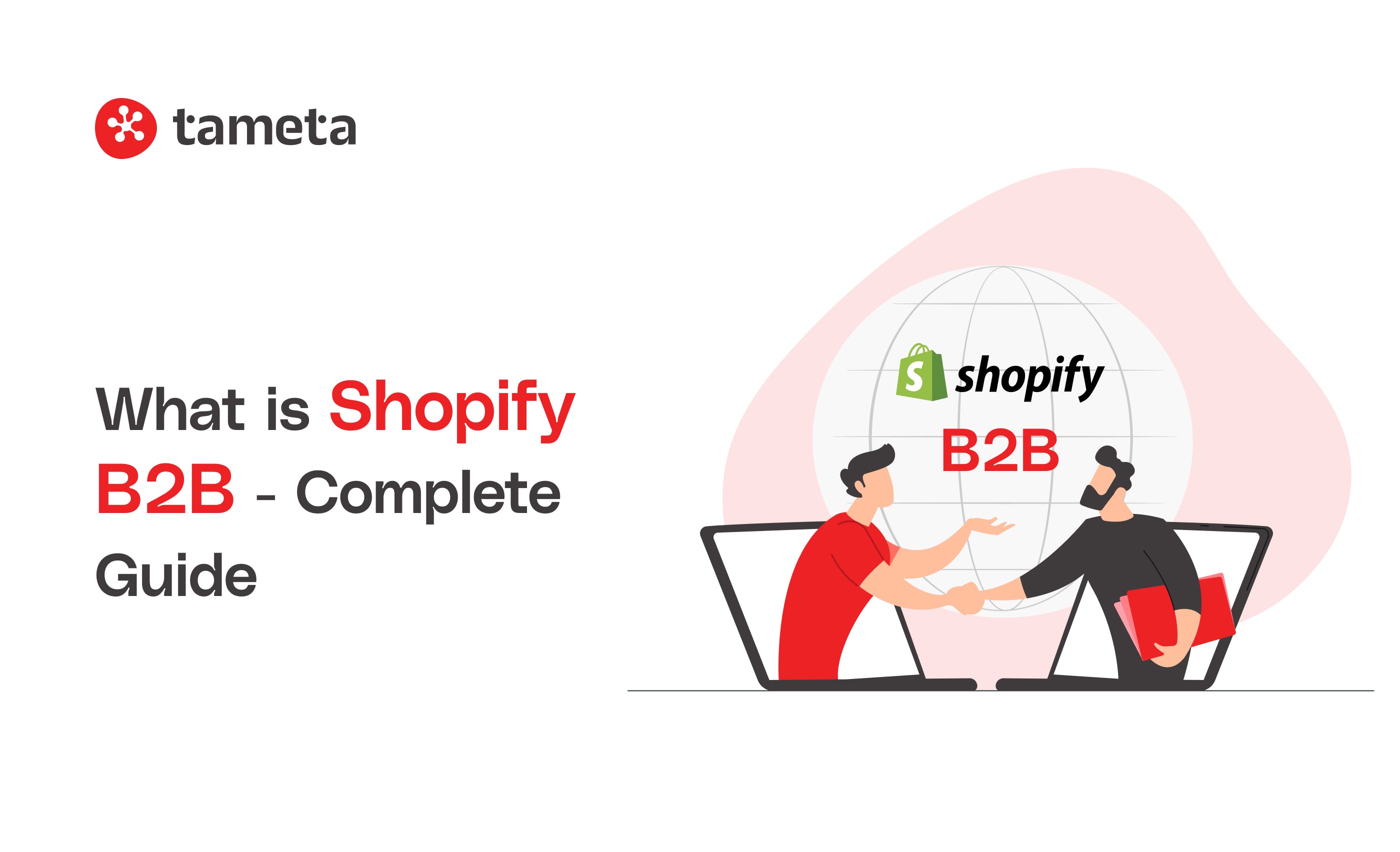 Shopify B2B