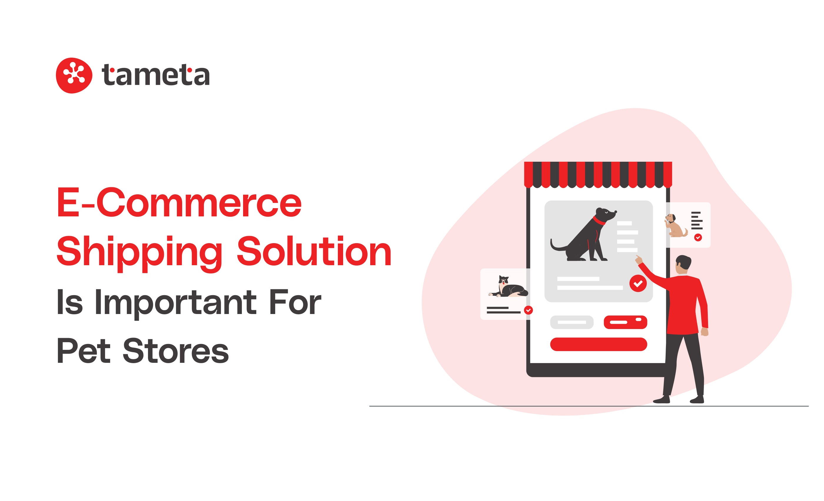 E-commerce Shipping Solution