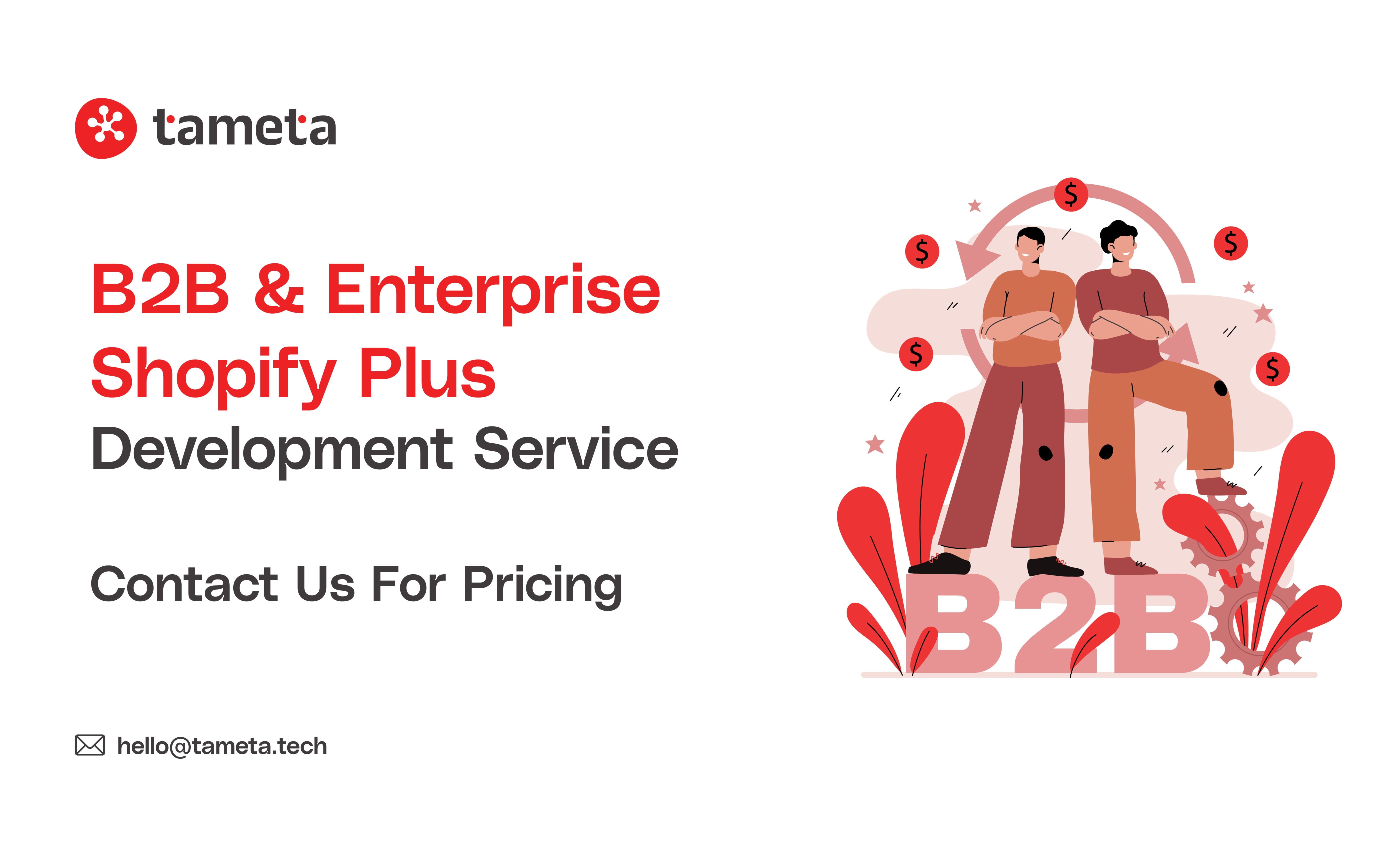 B2B & Enterprise Shopify Plus Development Service | Tameta Tech