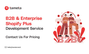 B2B & Enterprise Shopify Plus Development Service | Tameta Tech