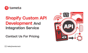Shopify Custom API Development and Integration Service