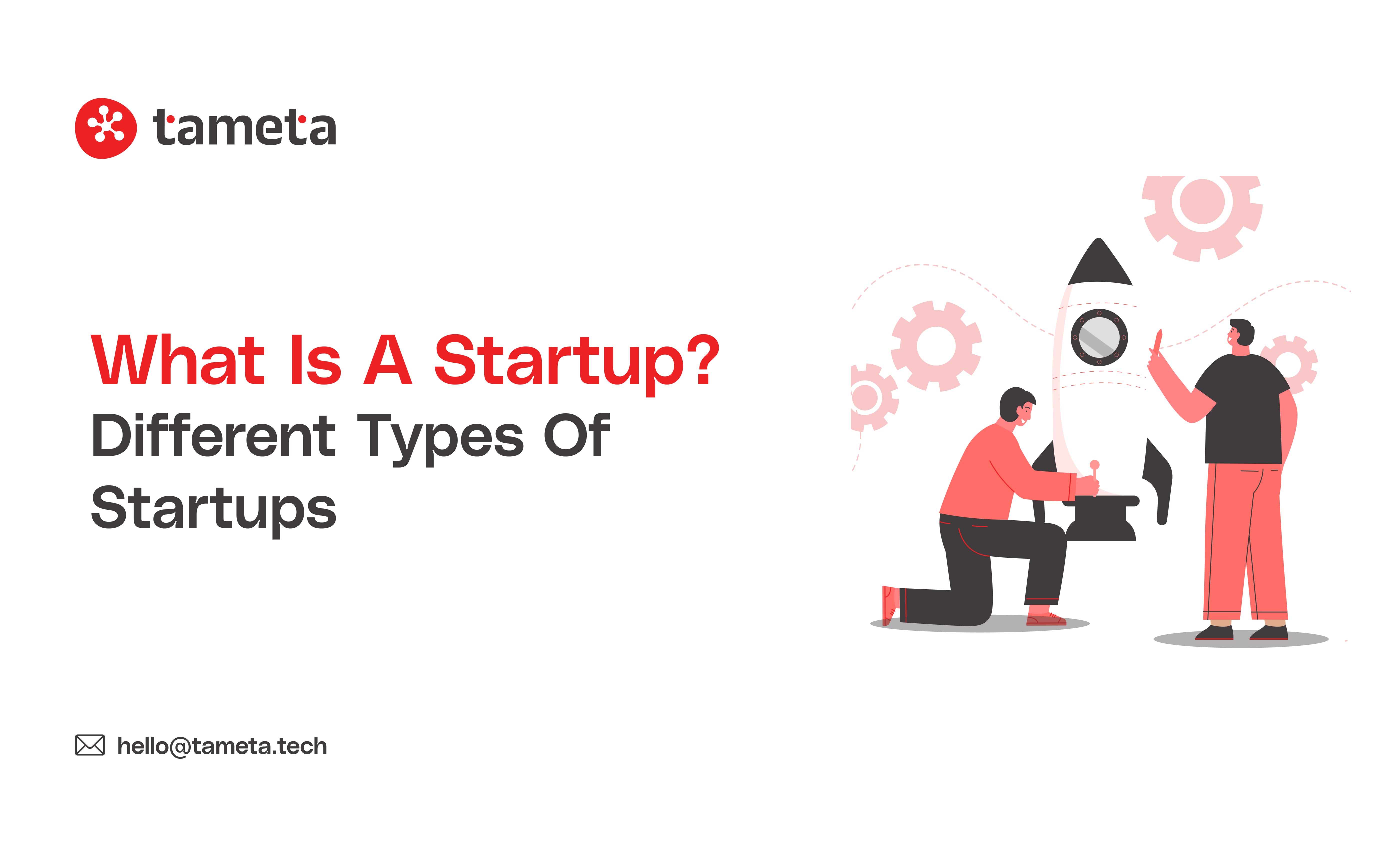Detailed infographic explaining different types of startups with examples for beginners exploring startup business models.