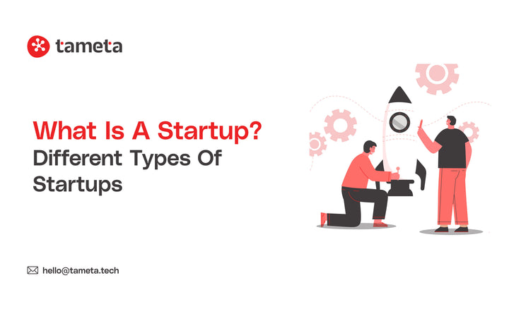 Detailed infographic explaining different types of startups with examples for beginners exploring startup business models.