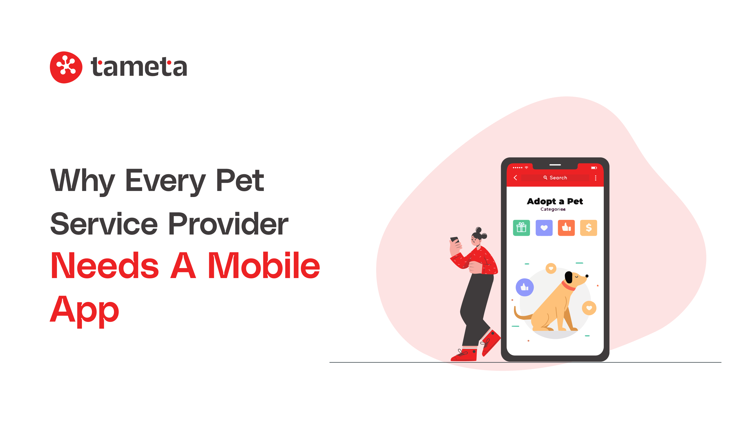 Pet Services Provider