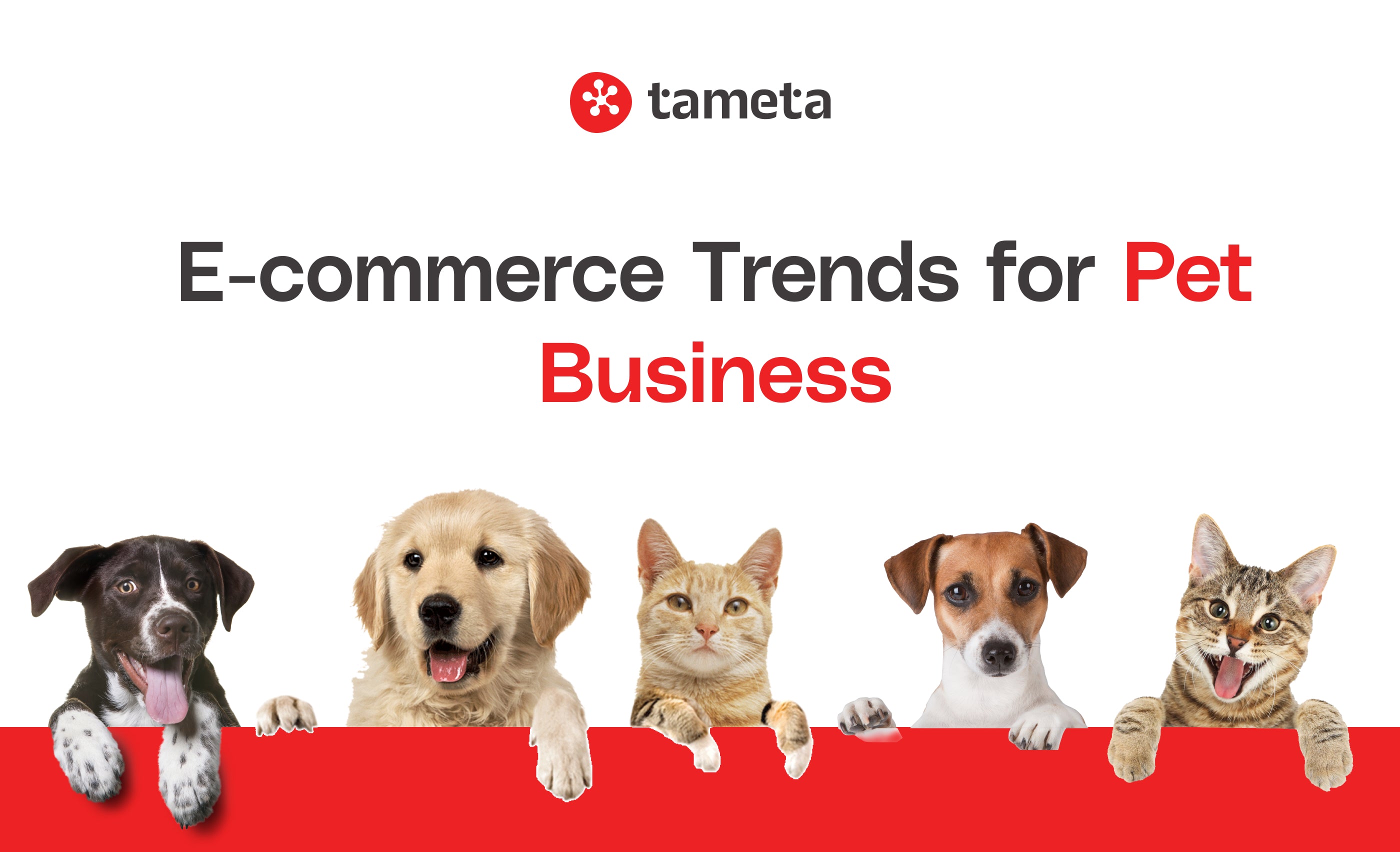 Latest E-commerce trends for Pet business